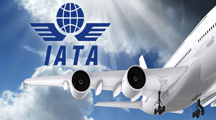 India sees good domestic aviation mkt growth in Feb: IATA - The ...